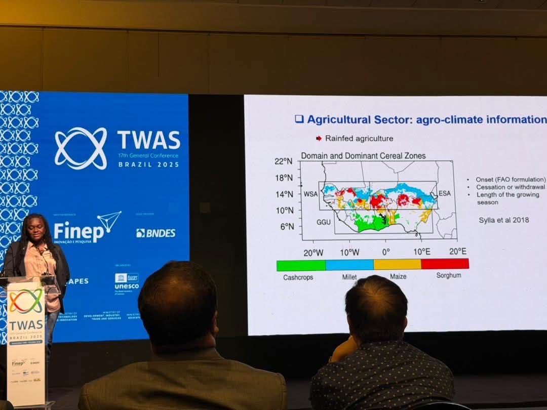 image.jpeg image.jpeg