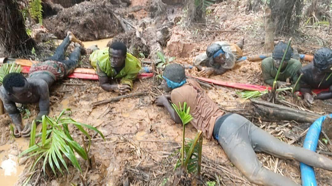 image.jpeg image.jpeg